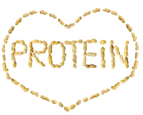 Protein – những điều cần biết cho sức khỏe