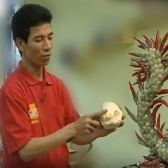 Thầy Vũ Văn Bốn